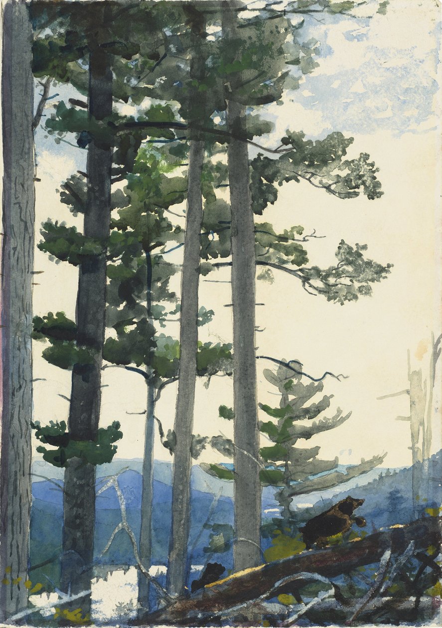 Old Settlers by Winslow Homer