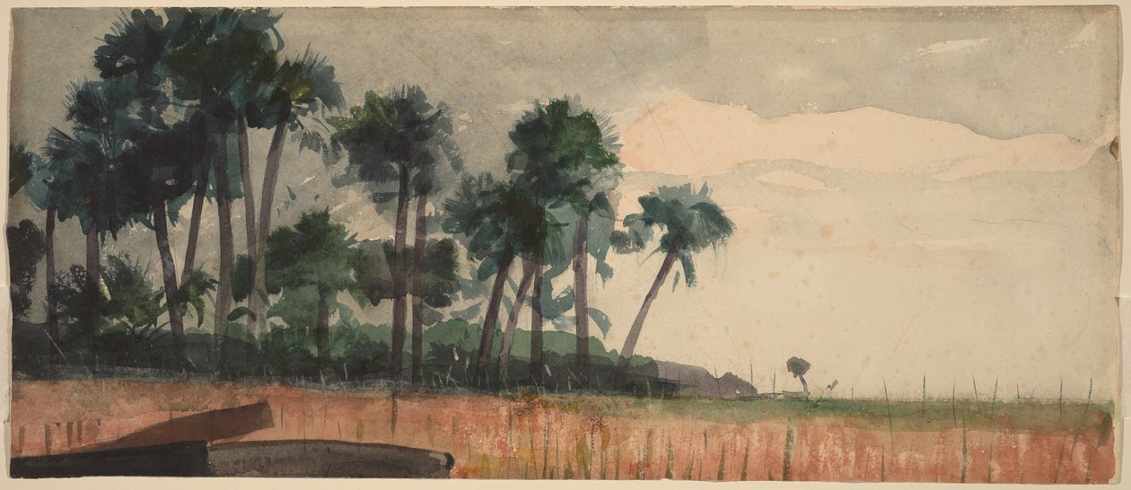 Palm Trees, Red by Winslow Homer