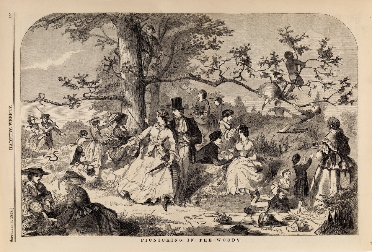 Picnicking in the Woods by Winslow Homer