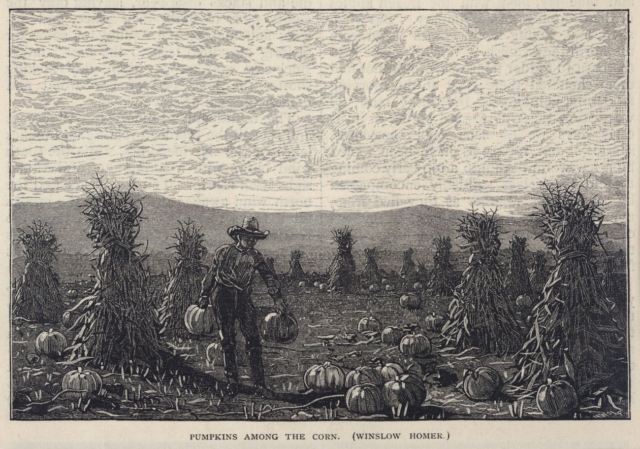 Pumpkins Among the Corn by Winslow Homer
