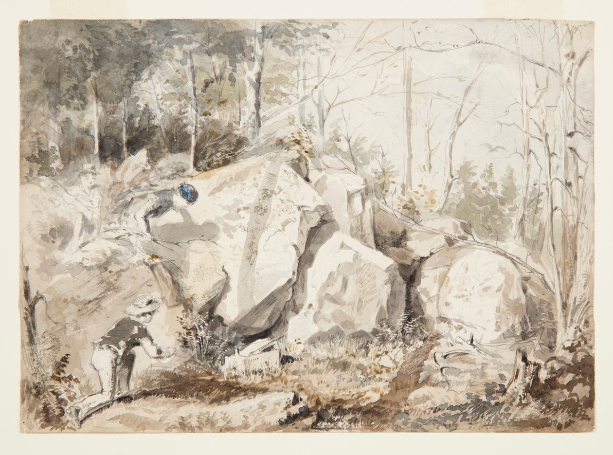 Setting a Squirrel Trap by Winslow Homer