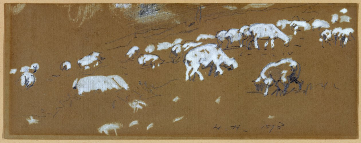 Sheep, 1878 by Winslow Homer