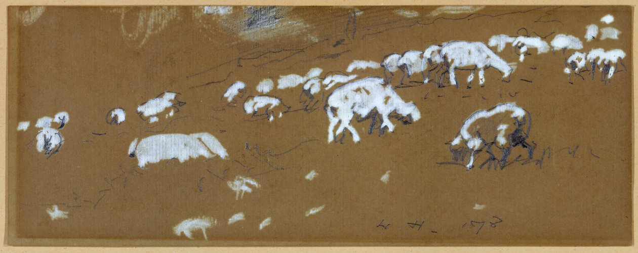Sheep by Winslow Homer