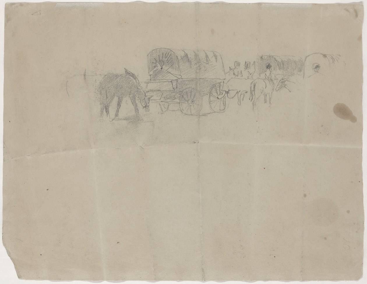 Supply Train and Mules by Winslow Homer
