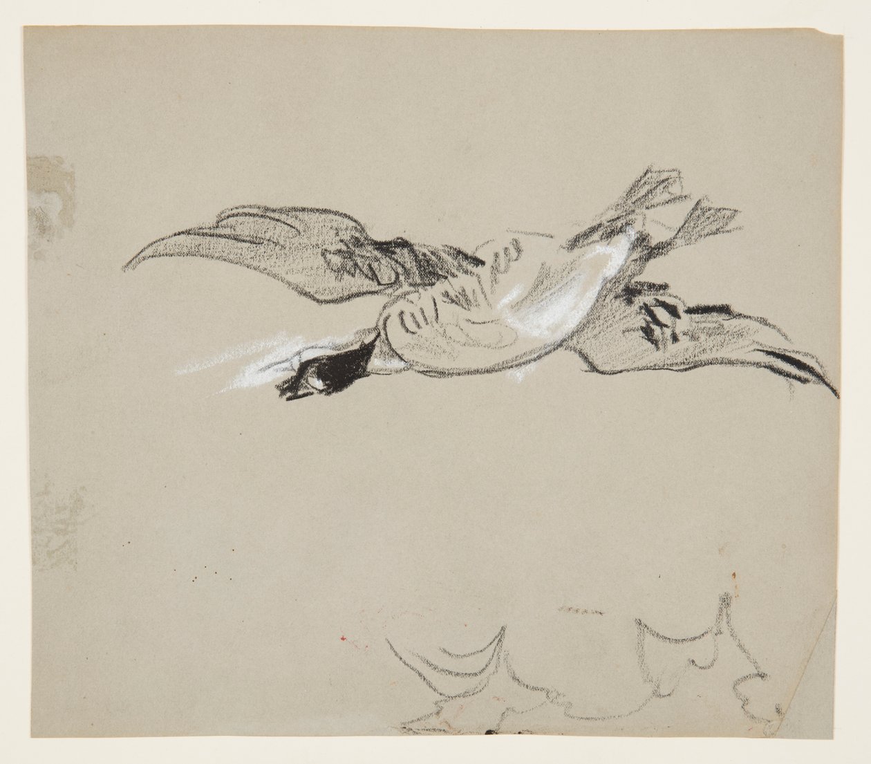 Wild Goose in Flight by Winslow Homer