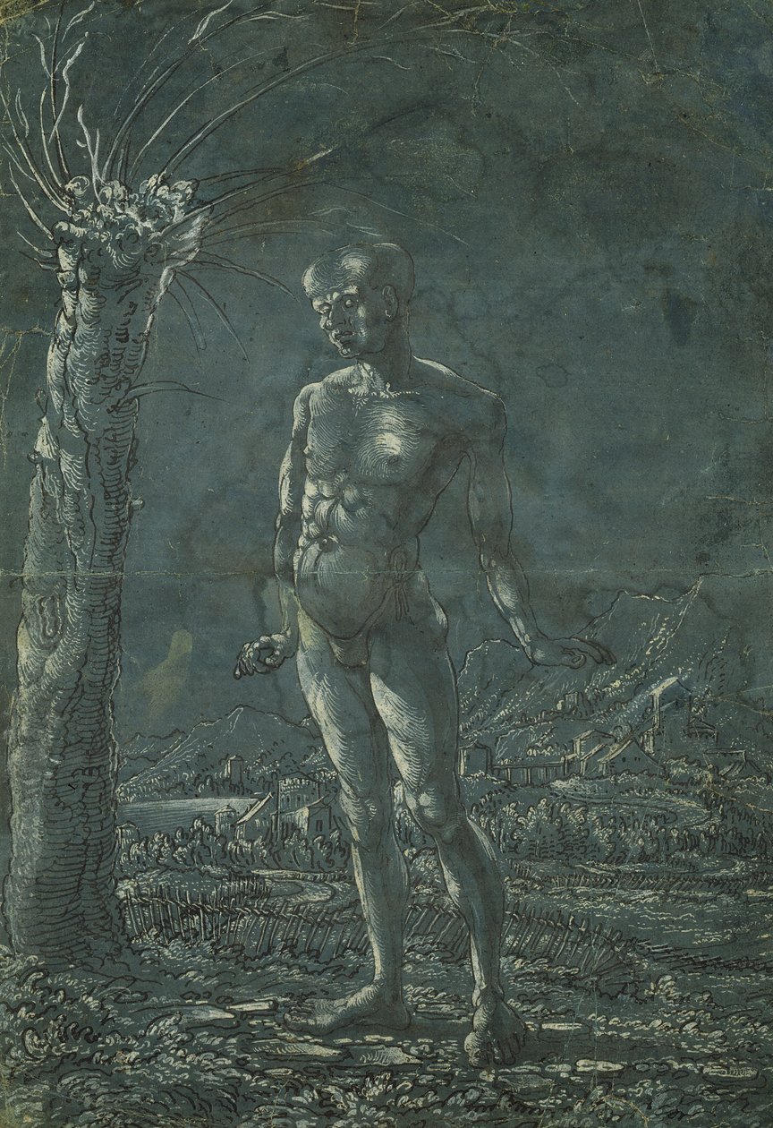Standing nude man in a landscape, c.1512 by Wolf Huber