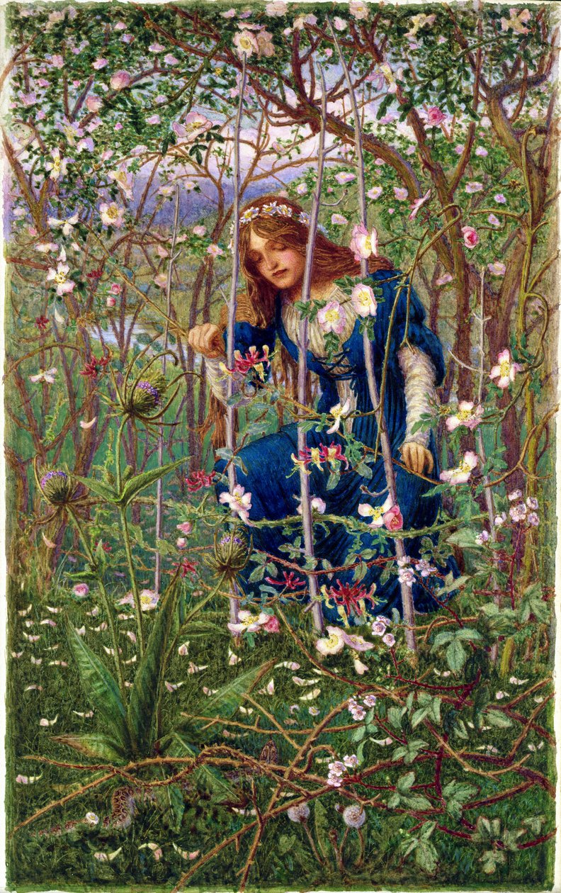 The Briar Wood by Woodbine K. Hinchliff