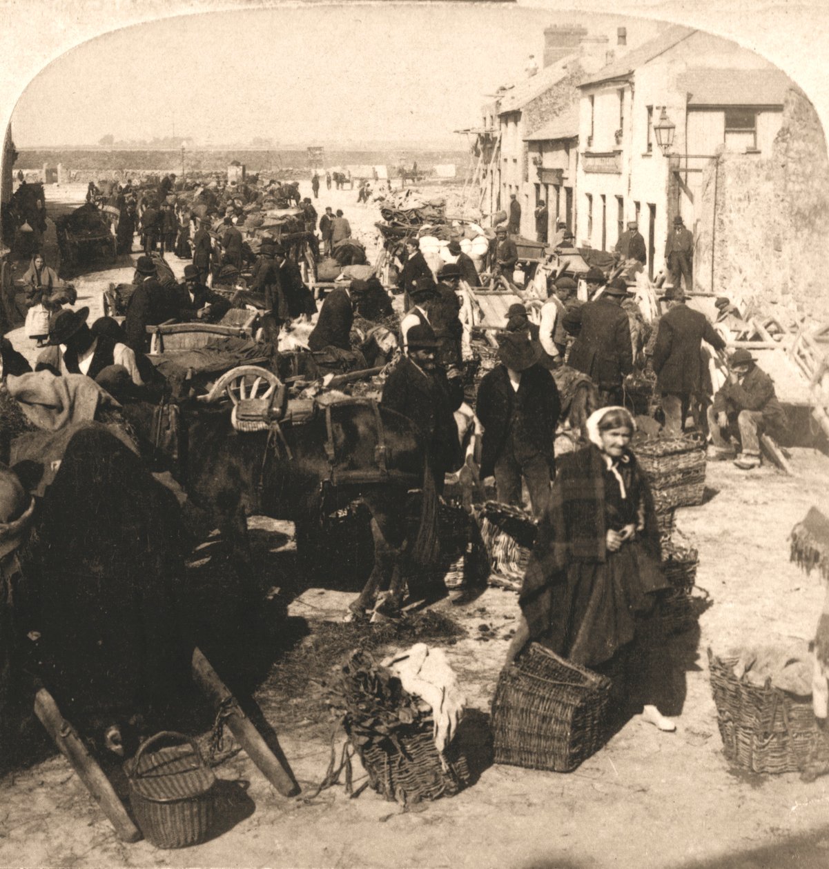 Selling the Irishman