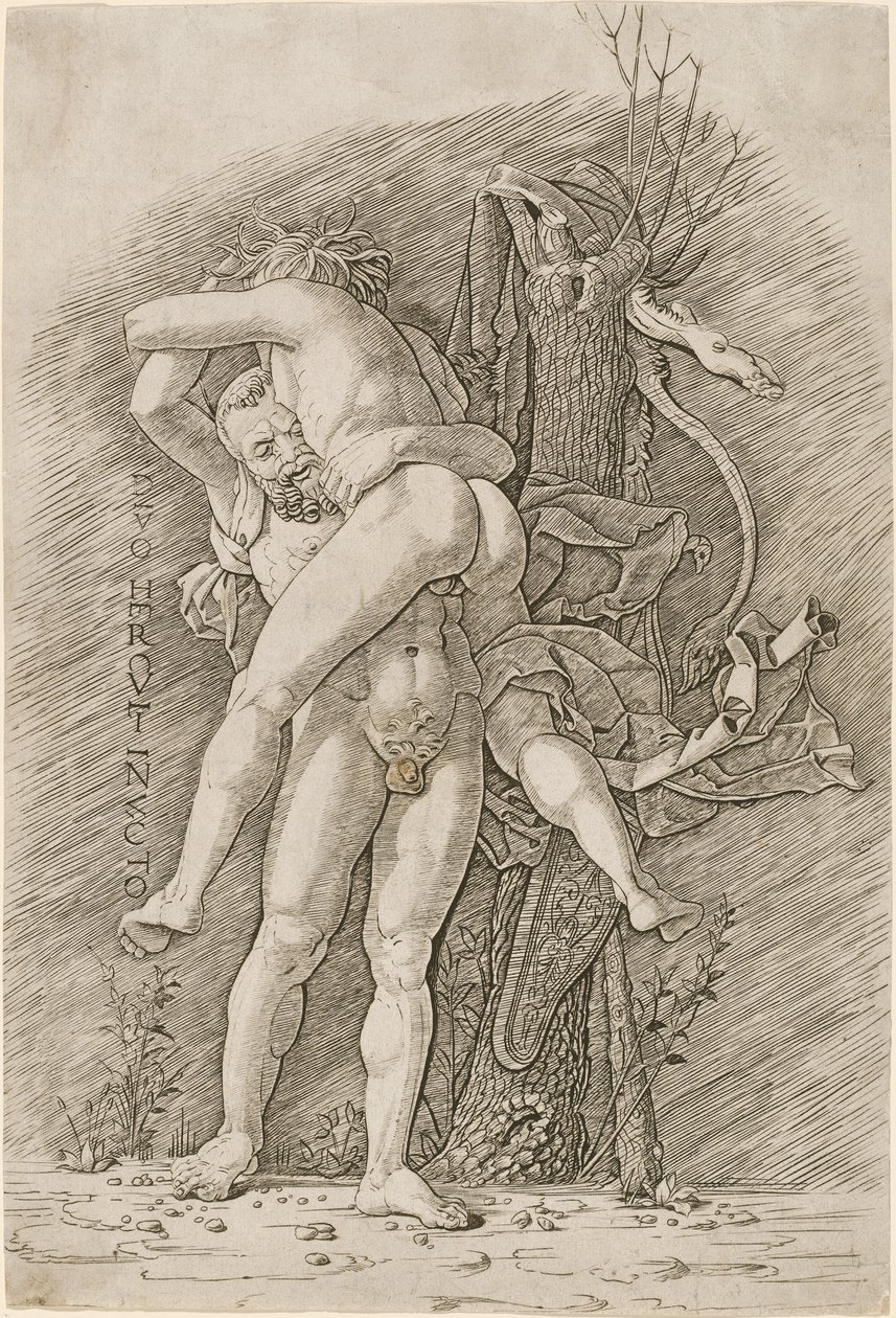 Hercules and Antaeus by Workshop of Andrea Mantegna