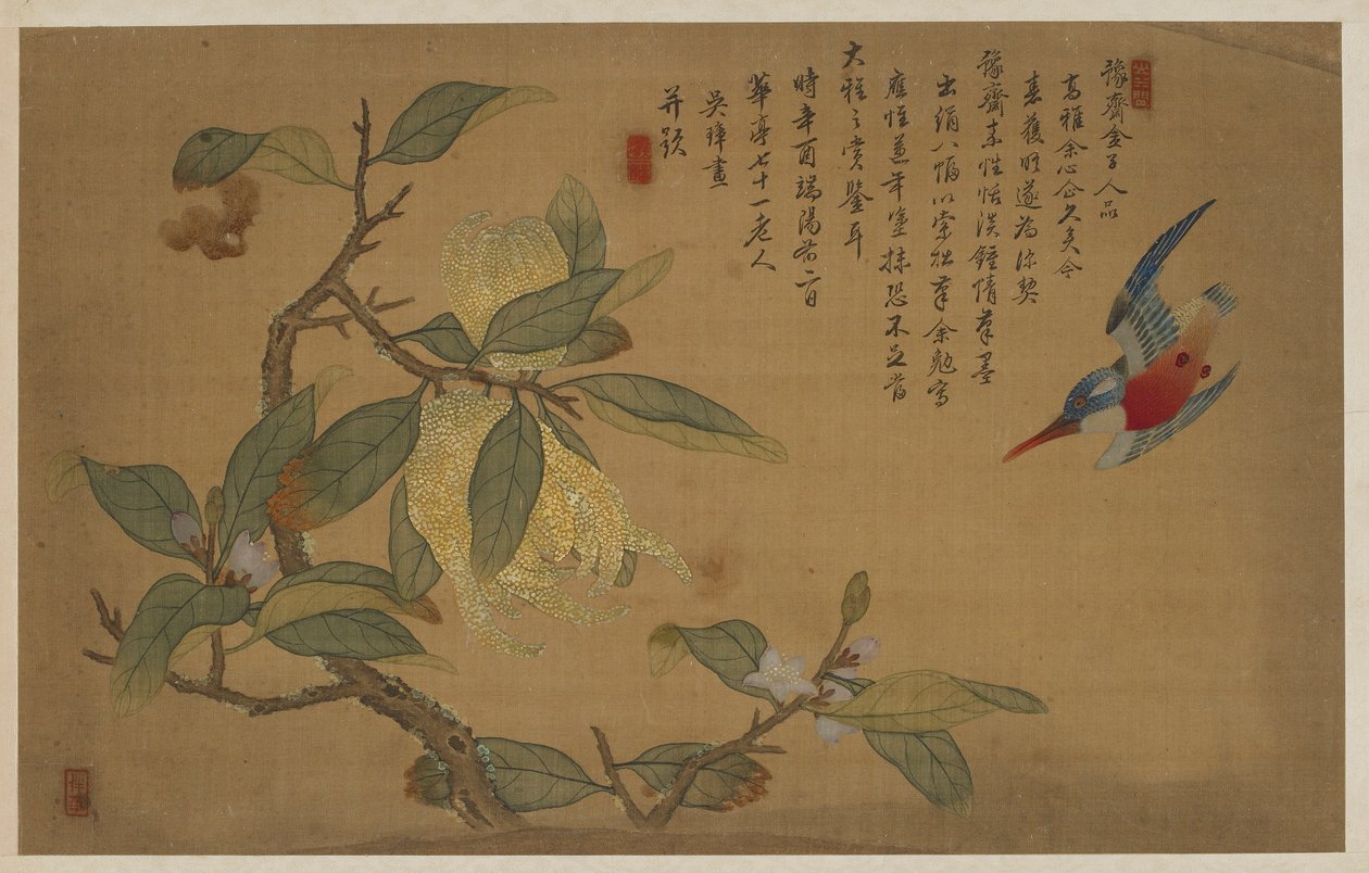 Bird, Fruit, and Flowers by Wu Zhang