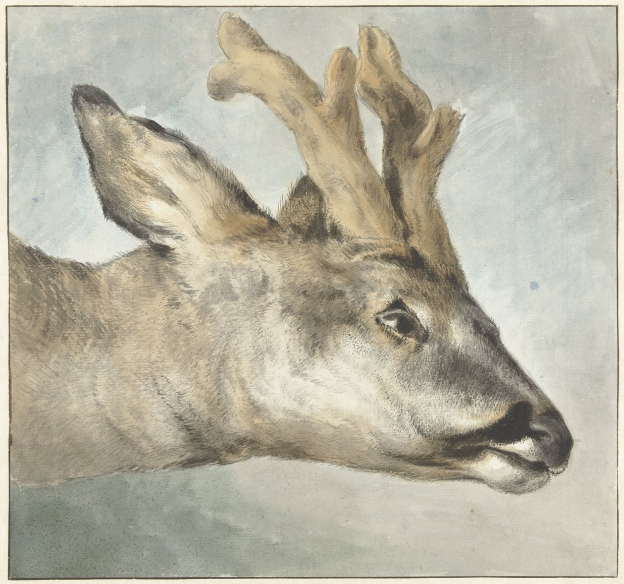 Head of a Roebuck by Wybrand Hendriks