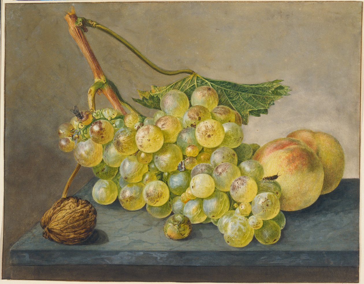 Still Life with Bunch of Grapes, Walnut and Peaches by Wybrand Hendriks