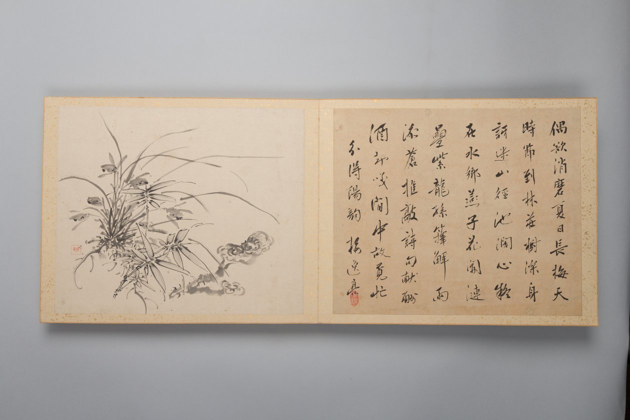 Refined Elegance in the Four Seasons, Album of Flower Paintings by Yamamoto Baiitsu