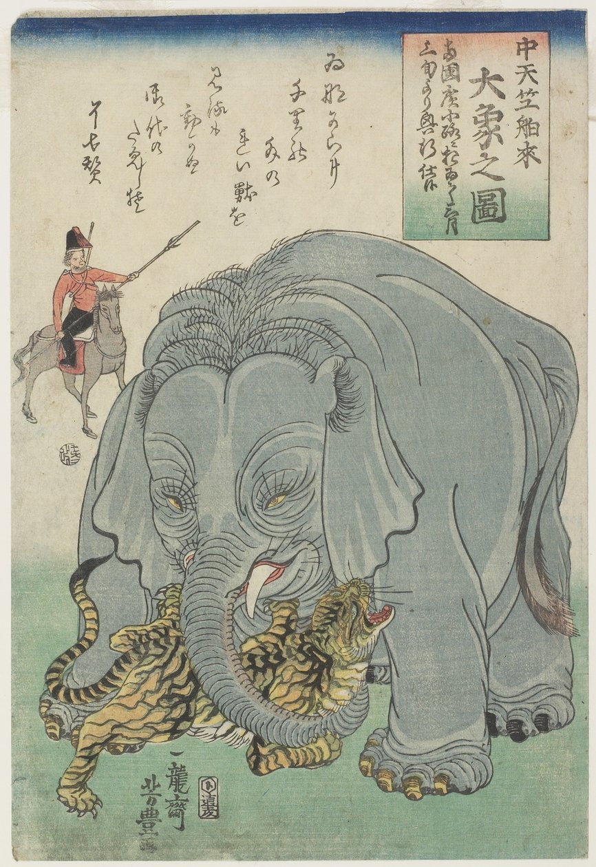 Elephant From India With Tiger by Yoshitoyo