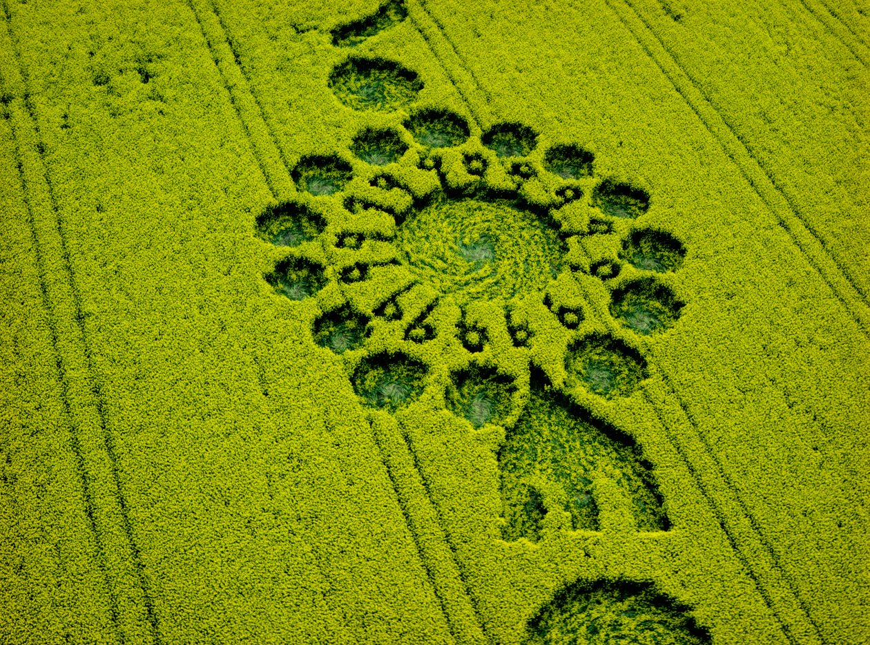 Crop circle in oilseed rape field, Milk Hill, Alton Priors, Vale of Pewsey, Wiltshire by Ferdinand Georg Waldmuller