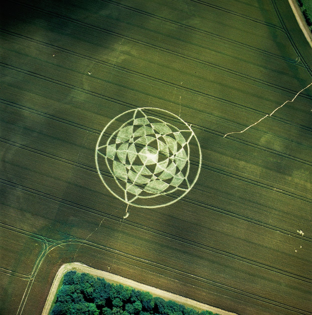 Crop circle in wheat field, Avebury Henge, Wiltshire, 22nd June 2002 by Ferdinand Georg Waldmuller
