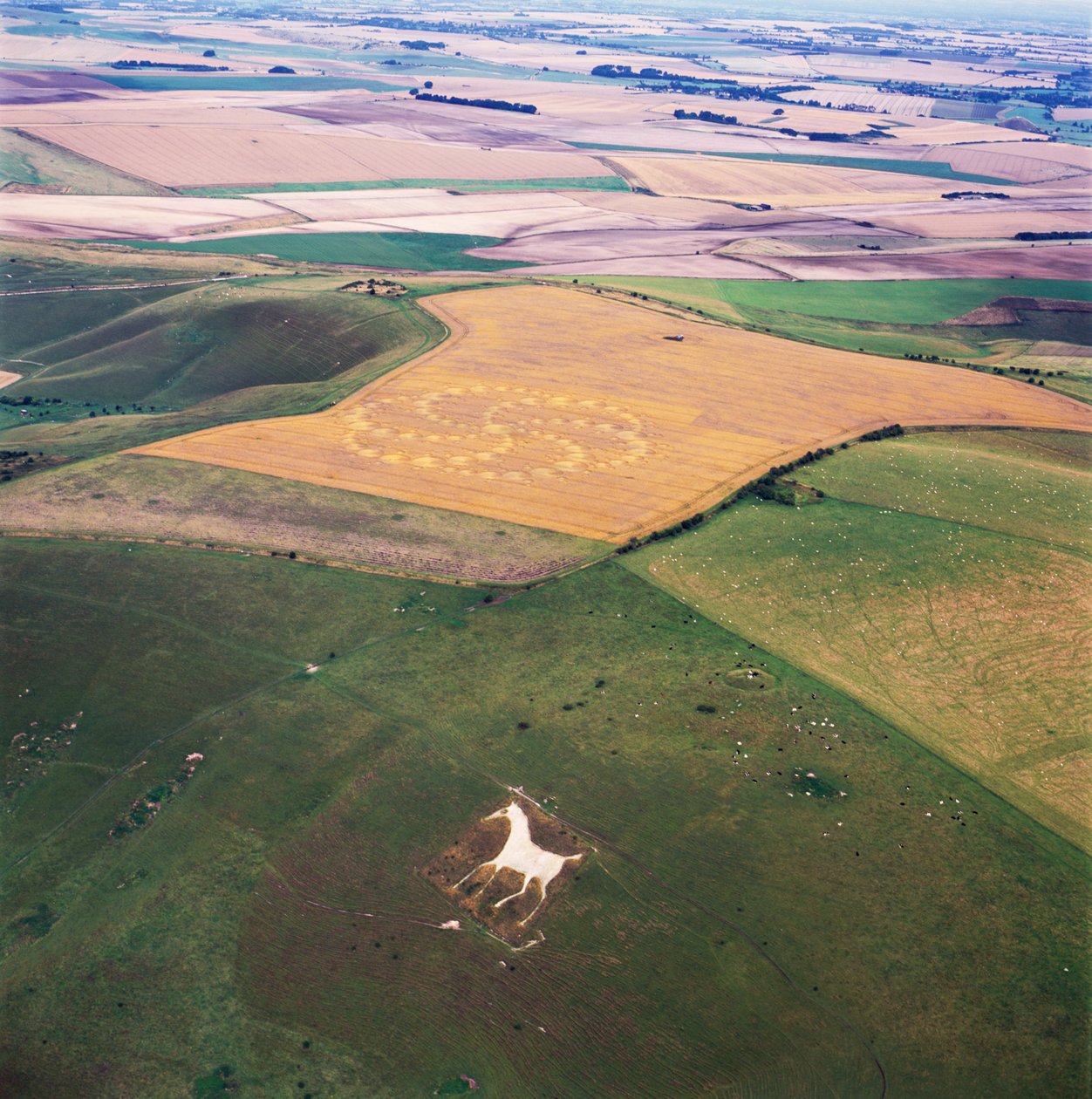 Crop circle in wheat field, Milk Hill, Alton Priors, Vale of Pewsey, Wiltshire by Ferdinand Georg Waldmuller