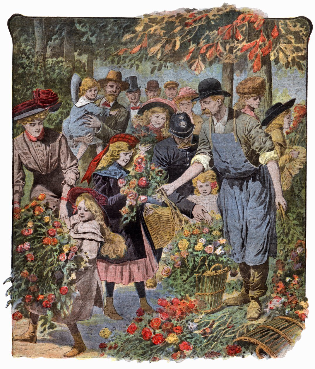 Flowers Distribution by . .