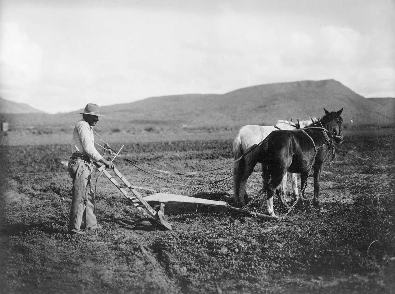 Indian Plowing His Land, Sacaton Indian Reservation, Arizona by . .