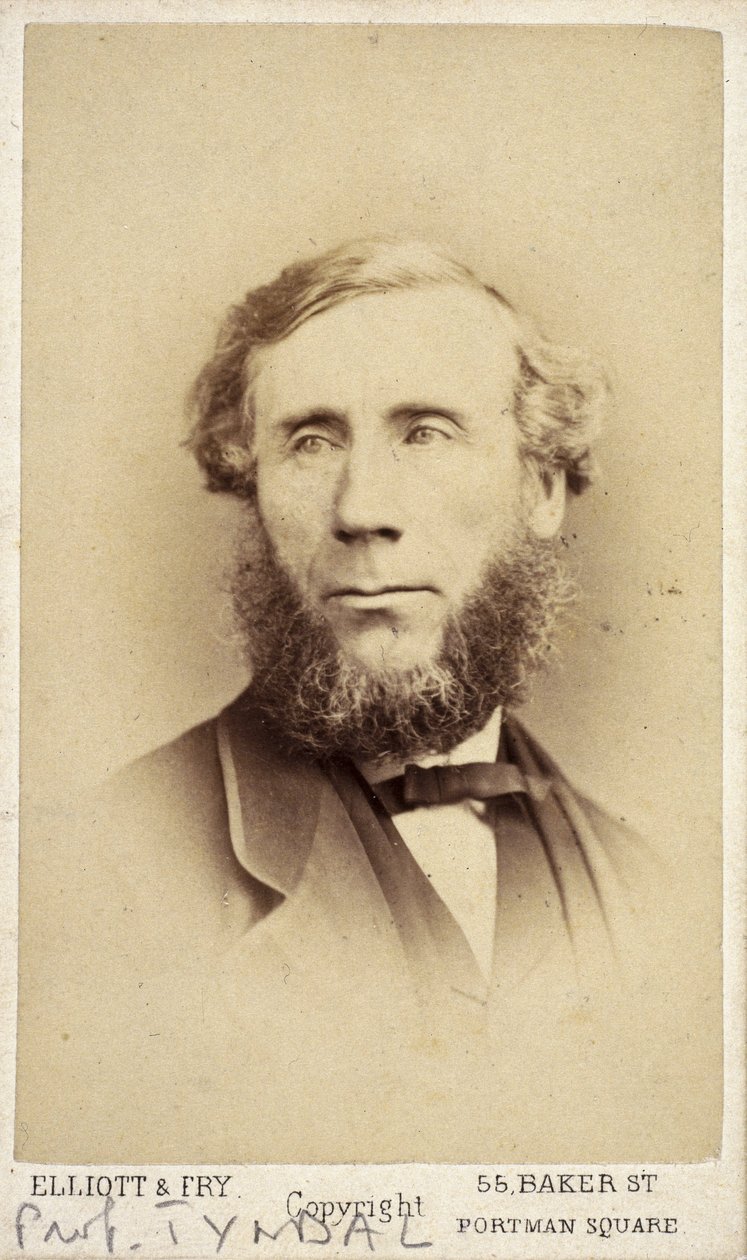 John Tyndall, Irish Physicist by Frederick (attr. to) Barnard