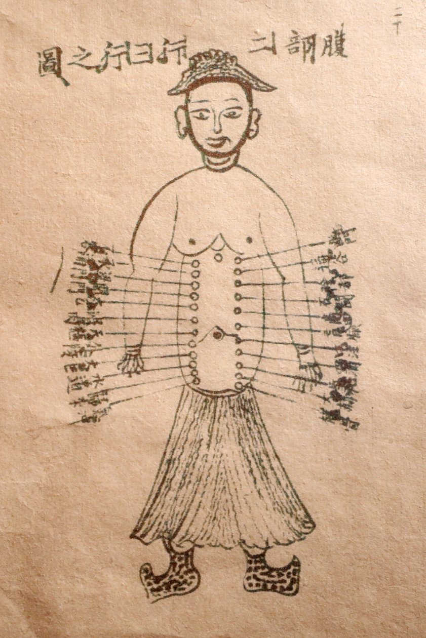 Museum of Traditional Vietnamese Medicine, The channels and vessels, Book of acupuncture, Ho Chi Minh City, Vietnam by John Pardon