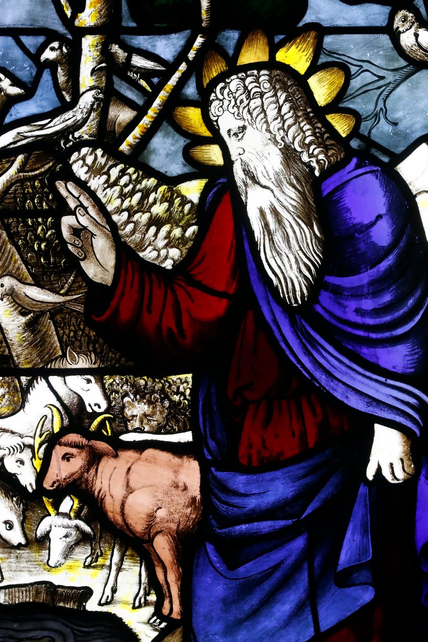 Museum of the Milan Cathedral. Stained glass window. Creation of the animals (God The Father). 16th century. Italy. by . .