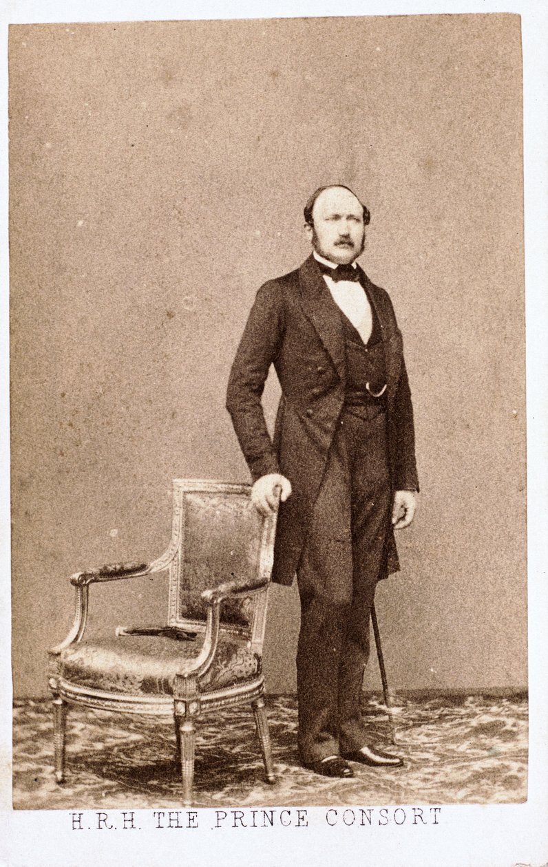 Prince Albert, Consort of Queen Victoria by Frederick (attr. to) Barnard