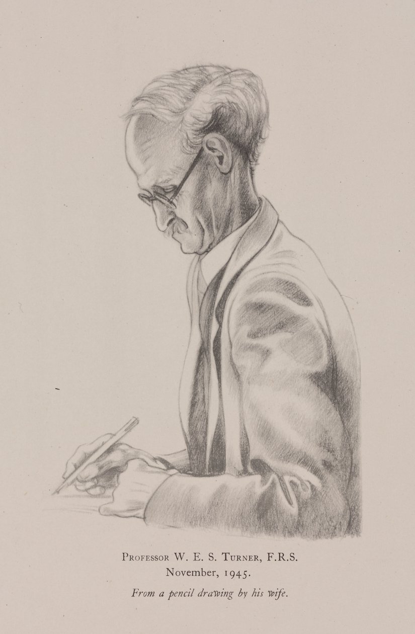 Professor W E S Turner, November by Frederick (attr. to) Barnard
