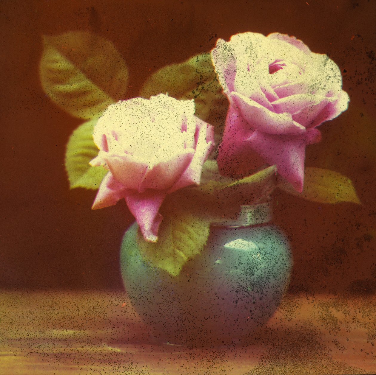 Roses by Frederick (attr. to) Barnard