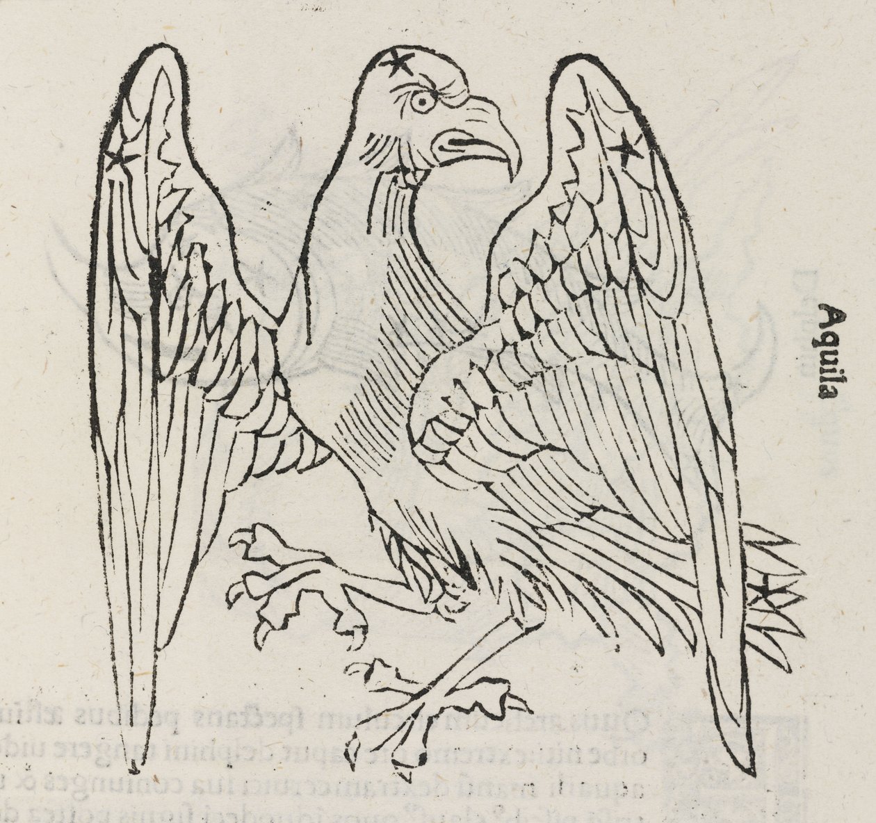 The Constellation of Aquila by John Pardon