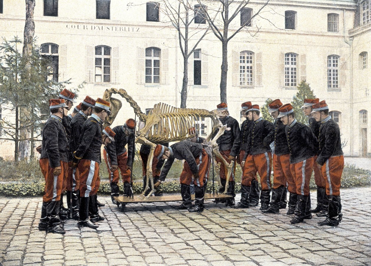 Special military school of Saint-Cyr by French School