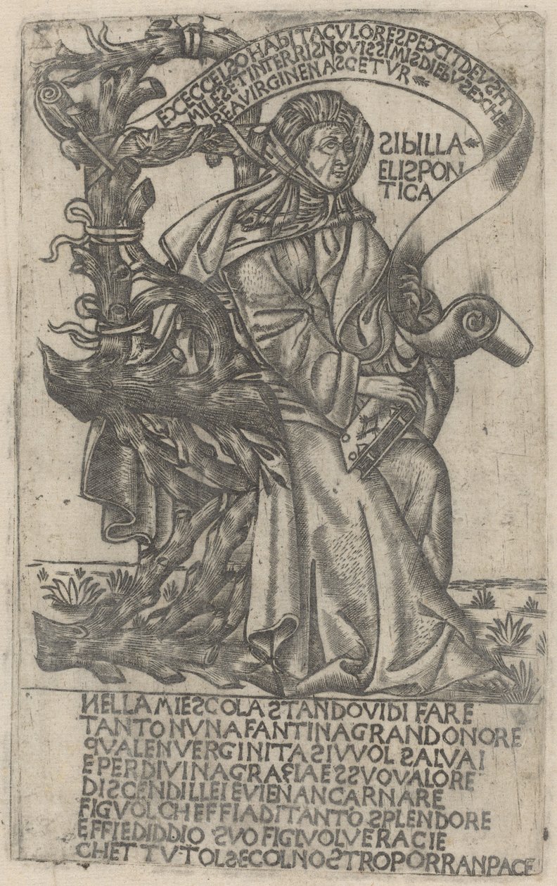Hellespontine Sibyl by after Baccio Baldini