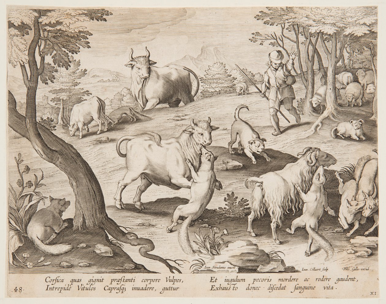 Bulls and Goats Attacked by Foxes by after Jan van der Straet, called Stradanus