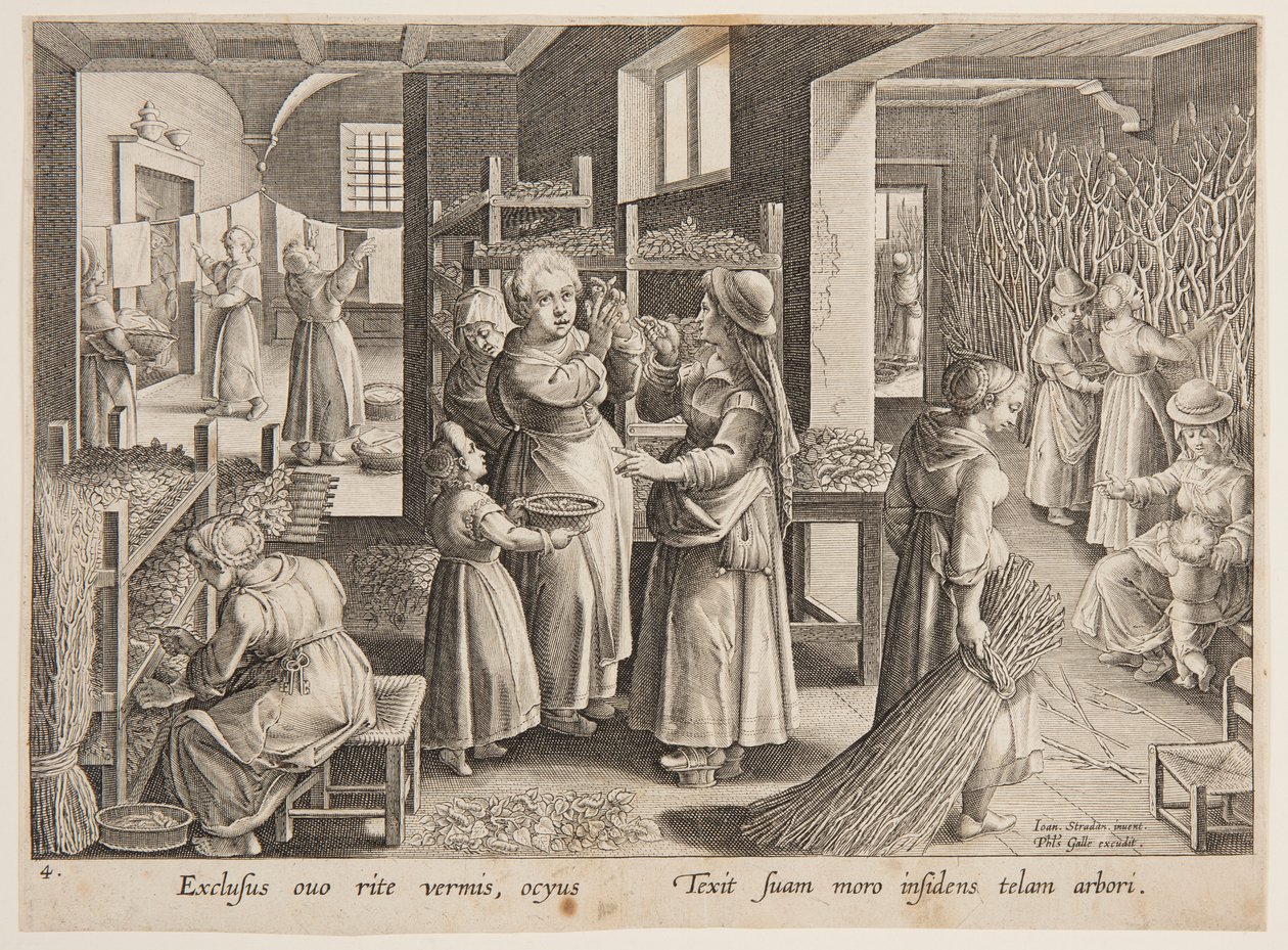 Feeding Mulberry Leaves to the Silkworms by after Jan van der Straet, called Stradanus