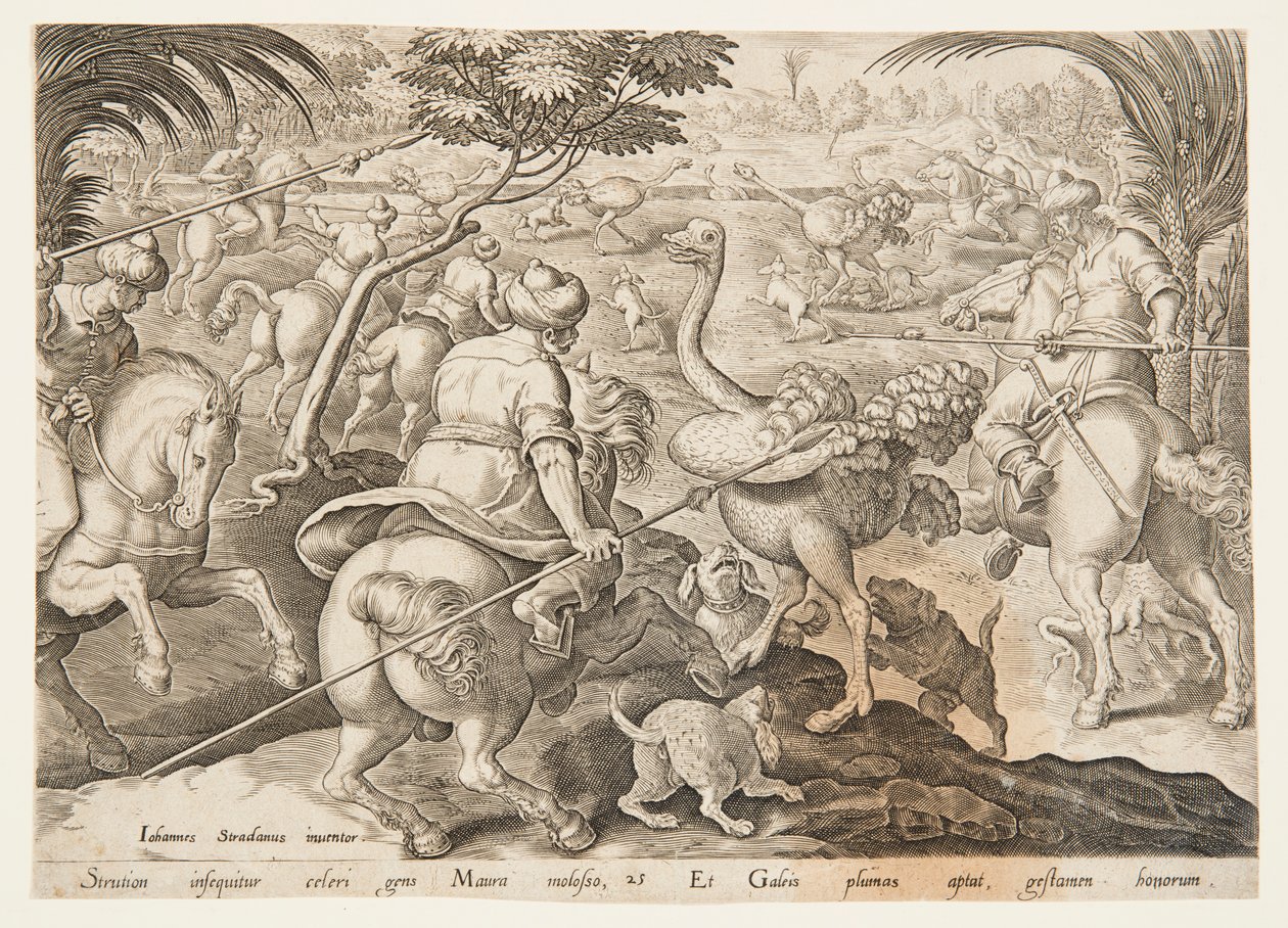 The Ostrich Hunt by after Jan van der Straet, called Stradanus