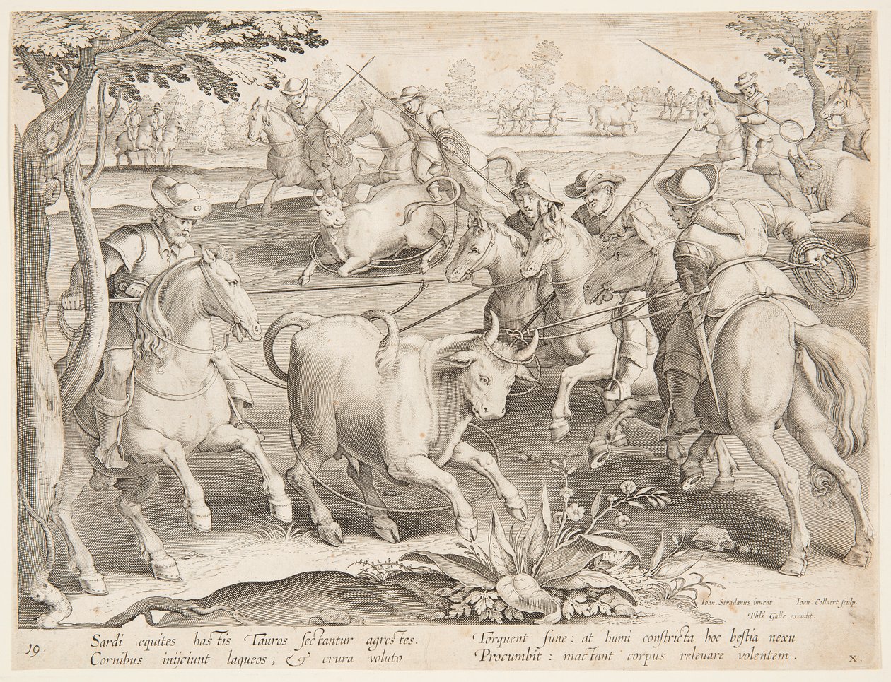 Trapping Wild Bulls by after Jan van der Straet, called Stradanus
