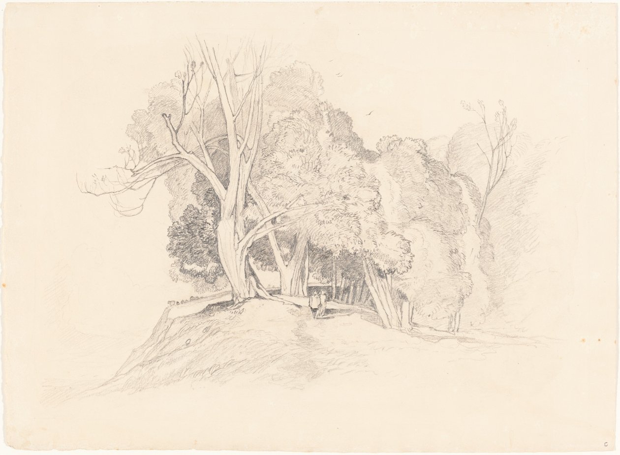 Landscape with Trees by after John Sell Cotman British 19th Century
