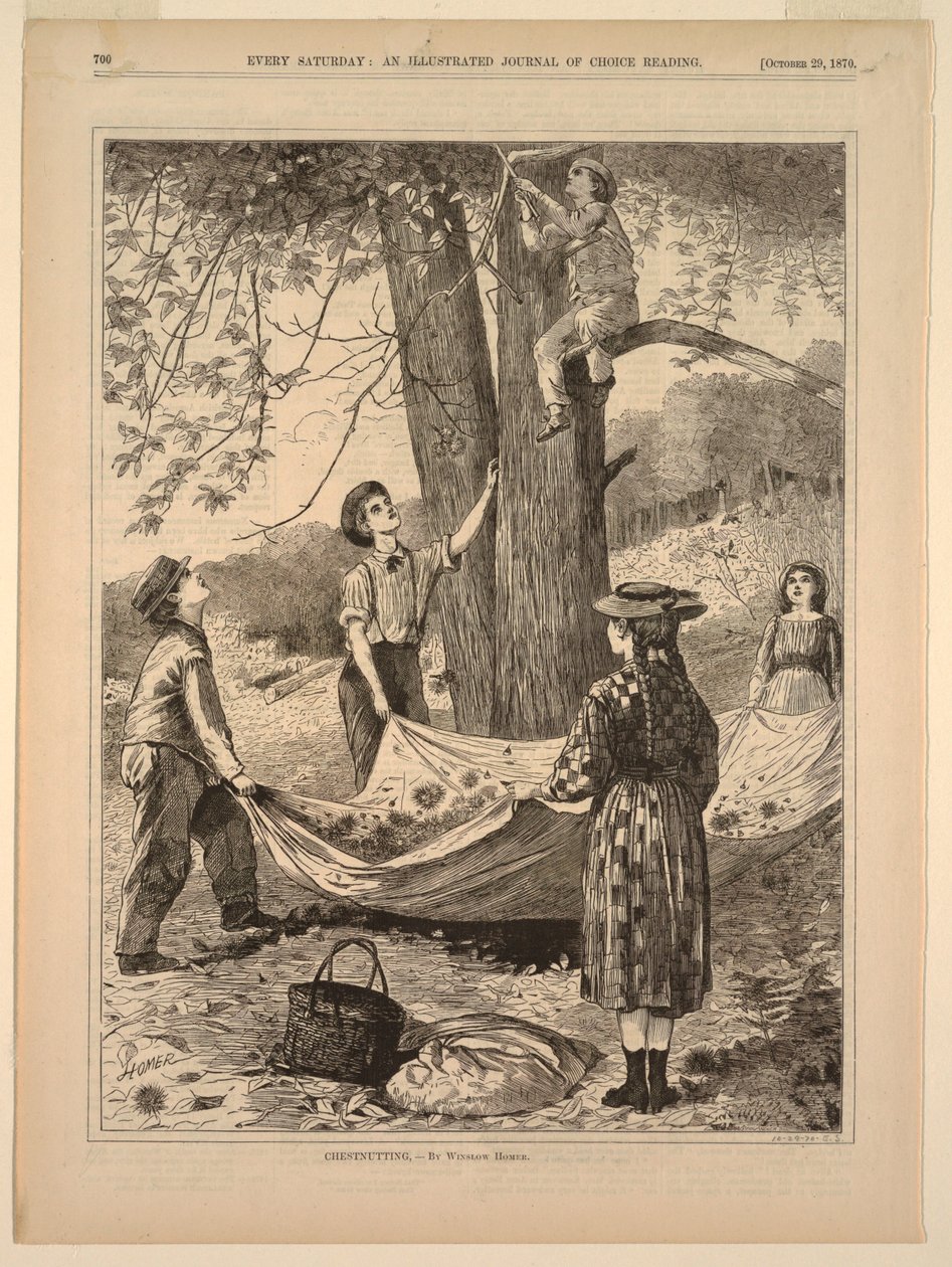 Chestnutting by Winslow Homer