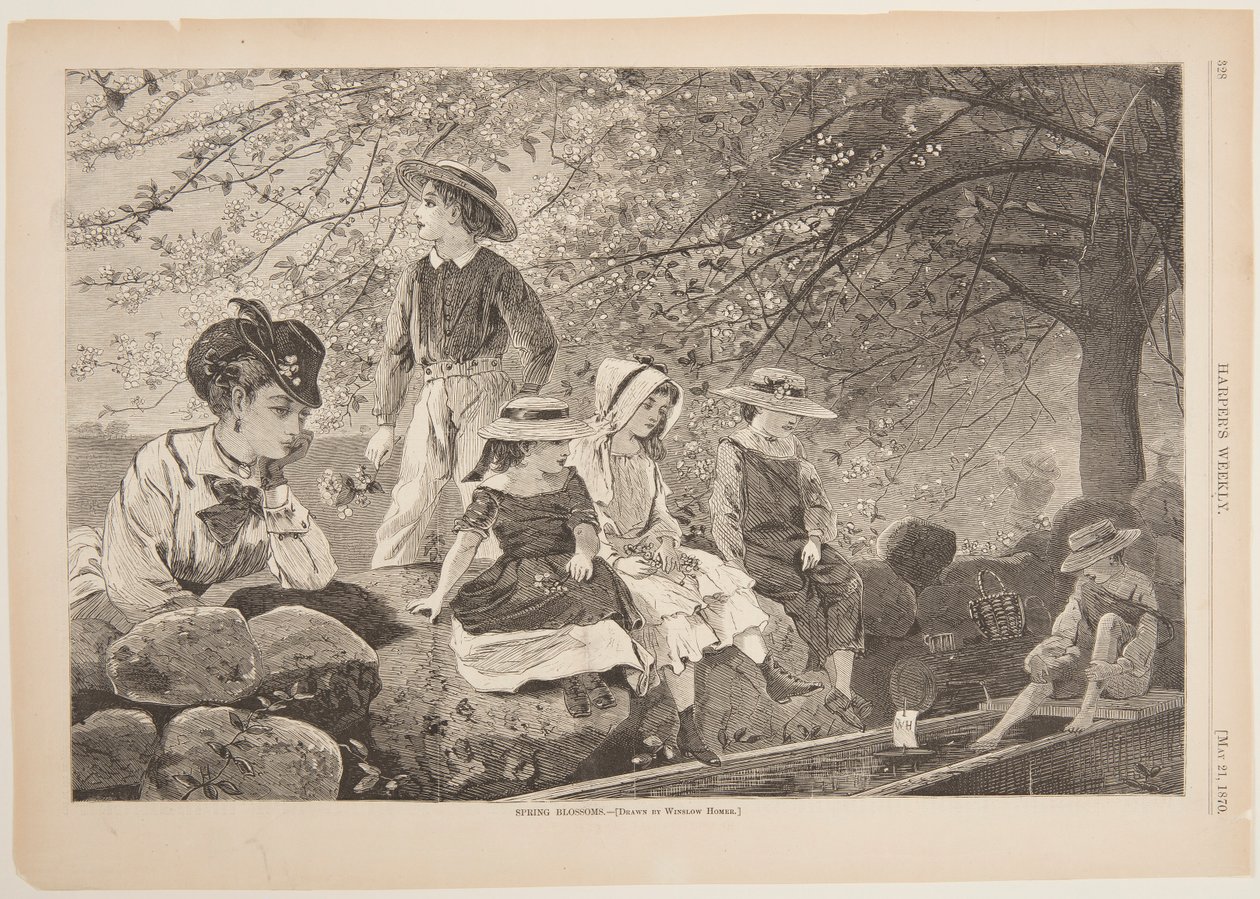 Spring Blossoms by Winslow Homer