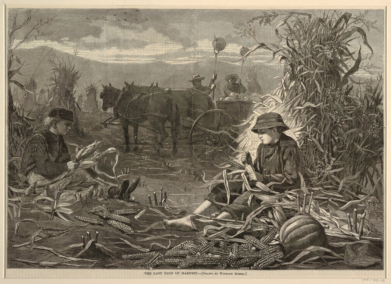 The Last Days of Harvest, from Harper