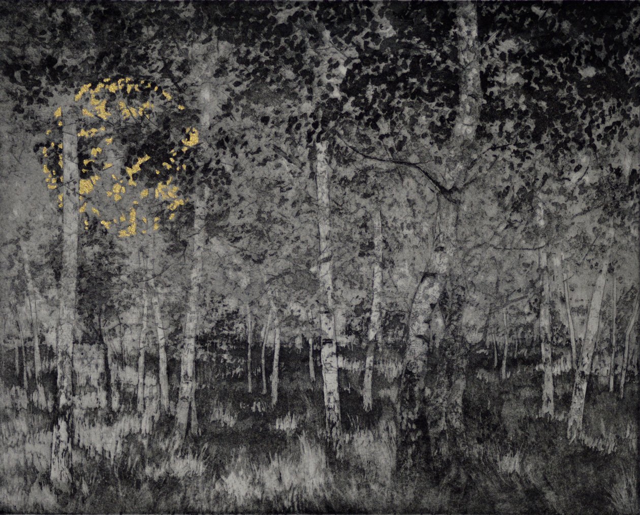 Our Secret, 2018 by angus hampel