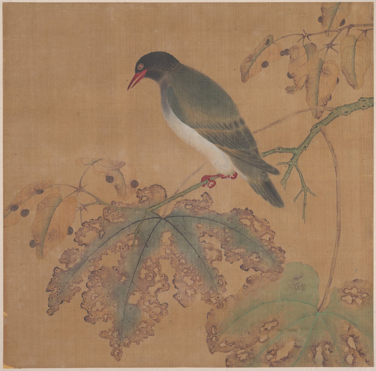 Bird on Branch by anonymous 