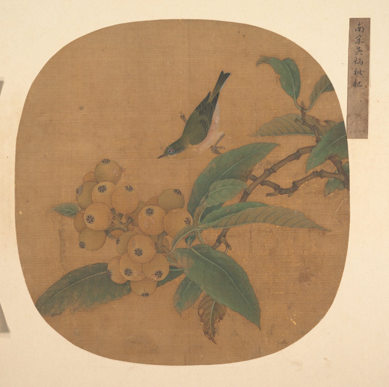 Bird on a Loquat Tree by anonymous 