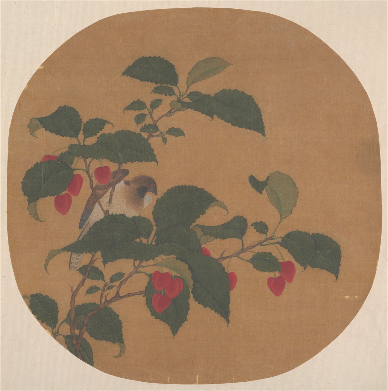Branch of Tree by anonymous 