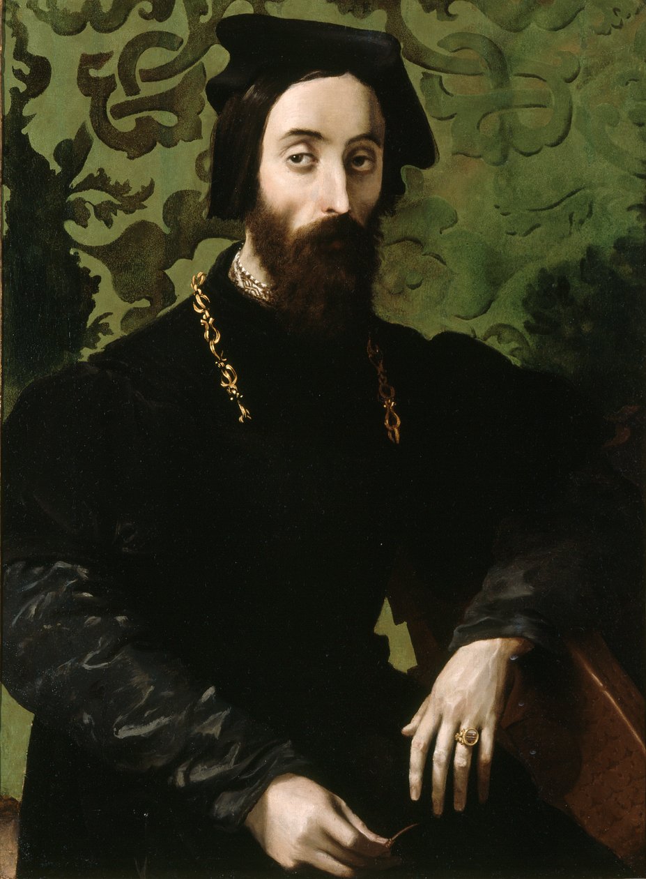 Portrait of a Musician by anonymous 