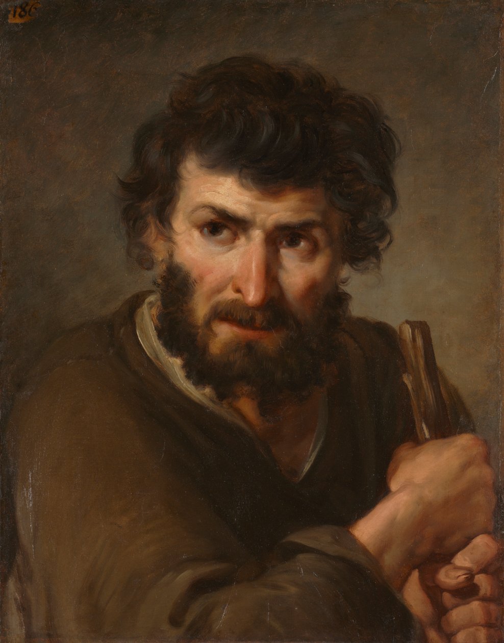 Study of a Shepherd by anonymous 