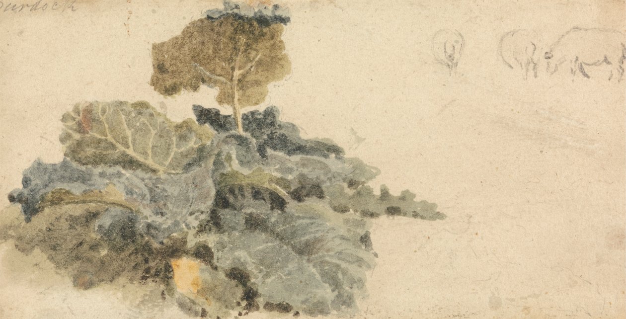 Study of Burdocks by attributed to Peter DeWint