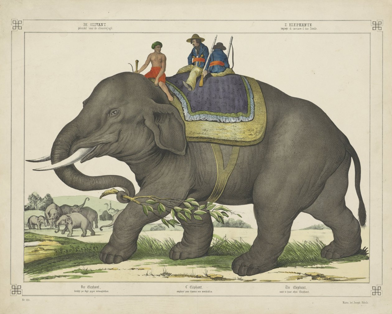 The Elephant used for Elephant Hunting by firma Joseph Scholz