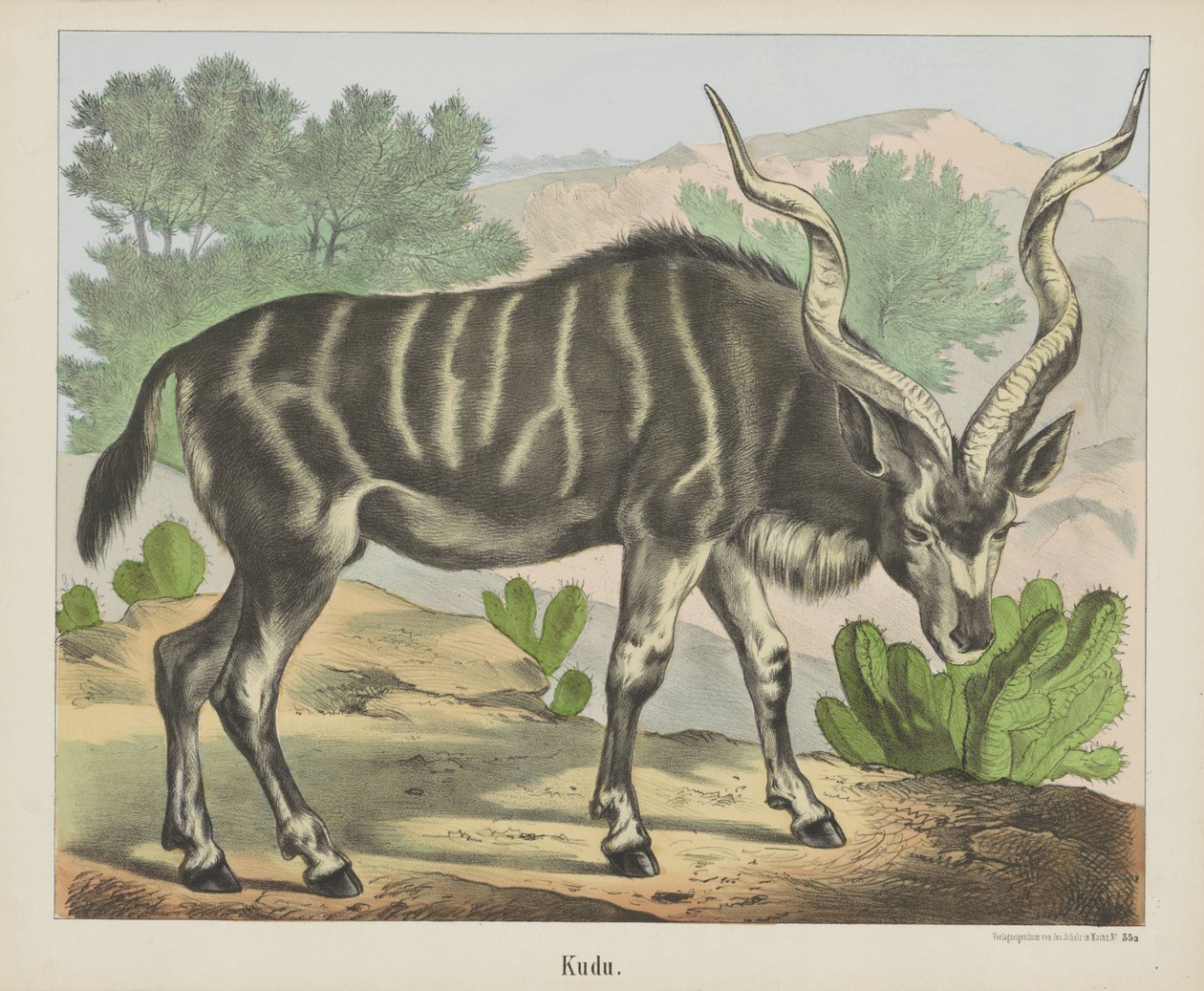 Kudu by firma Joseph Scholz