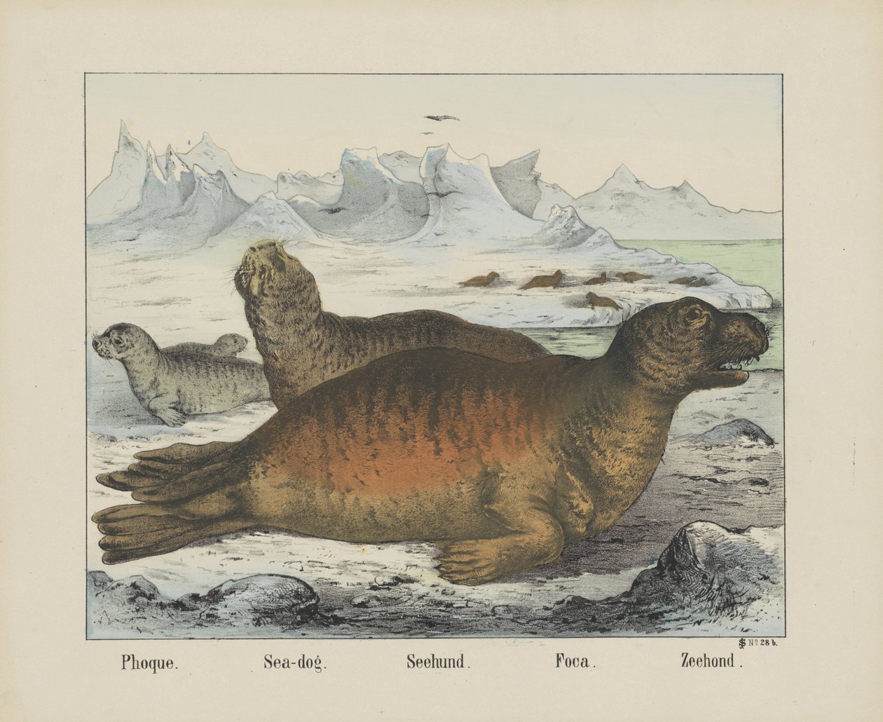Seal by firma Joseph Scholz